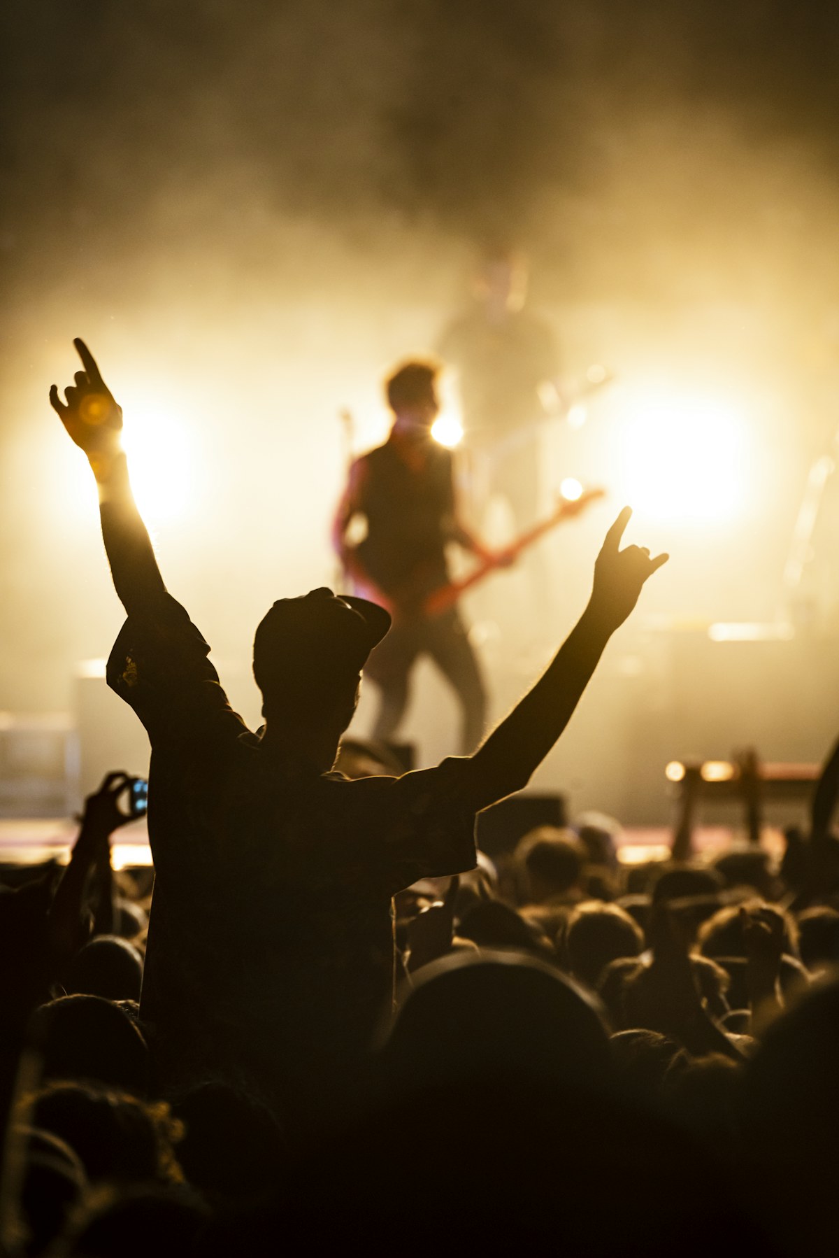 A crowd with their hands in the air at a live concert